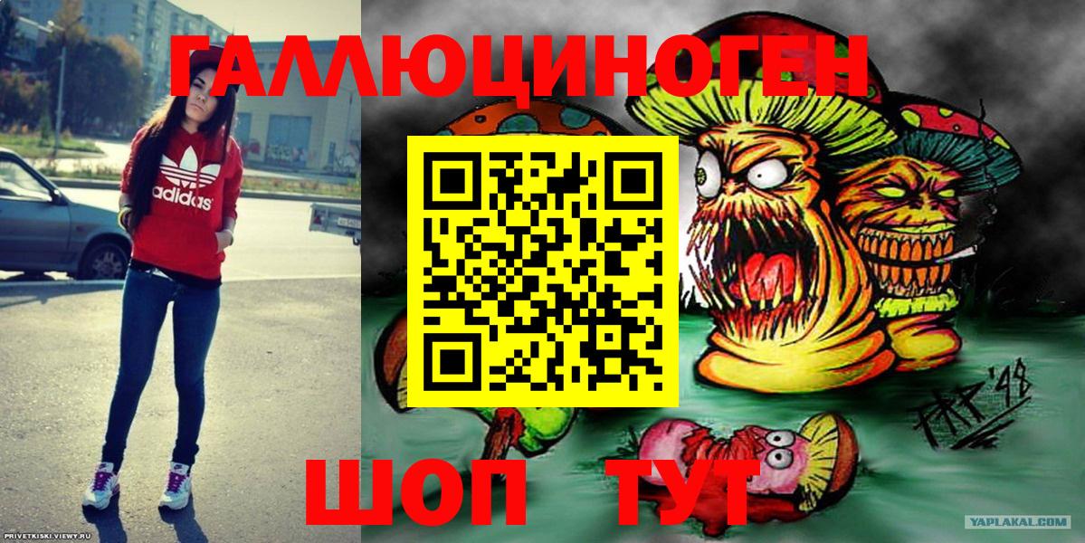 Галлюциногенные грибы Psilocybine cubensis Бор