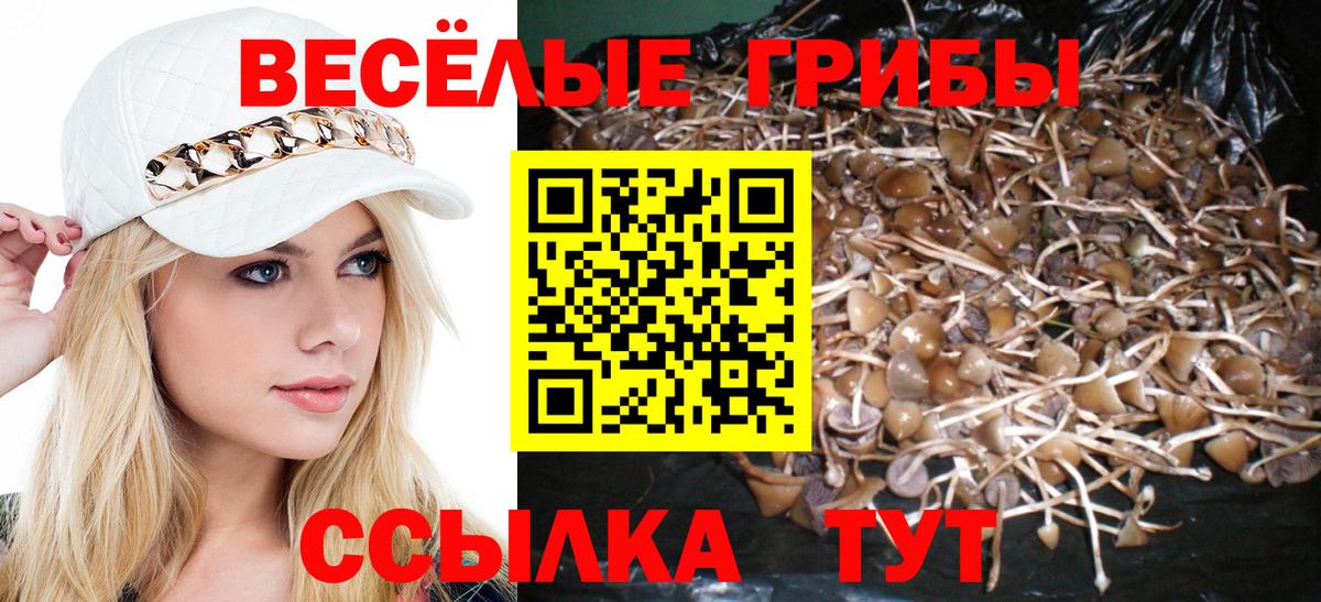 Галлюциногенные грибы MAGIC MUSHROOMS  Вход с VPN  Бор 