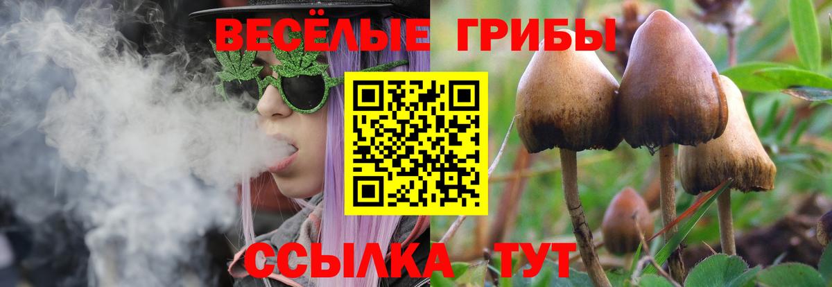 ГАШИШ Бор